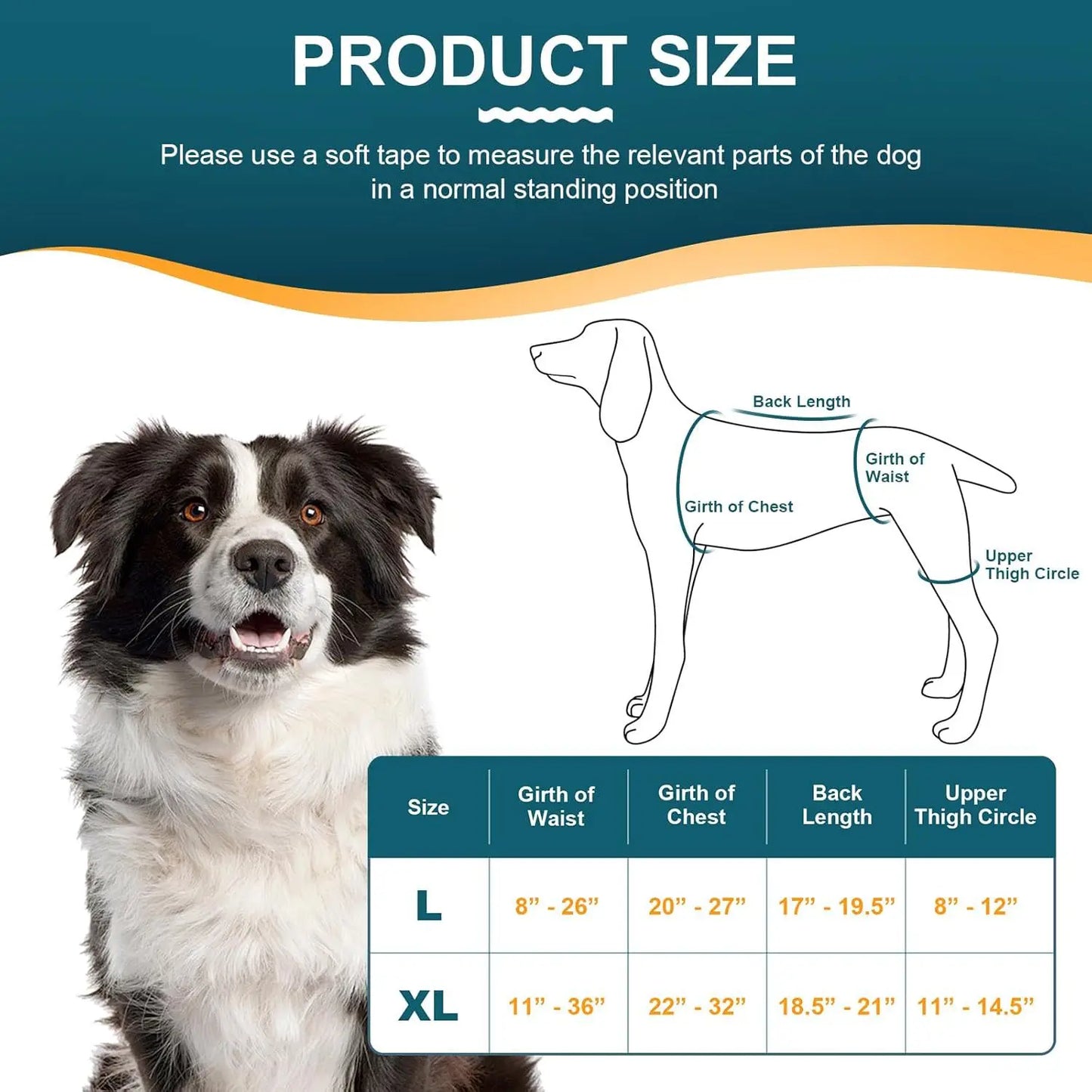 Dog Hind Leg Brace Support, with Adjustable Hinge Stabilizer