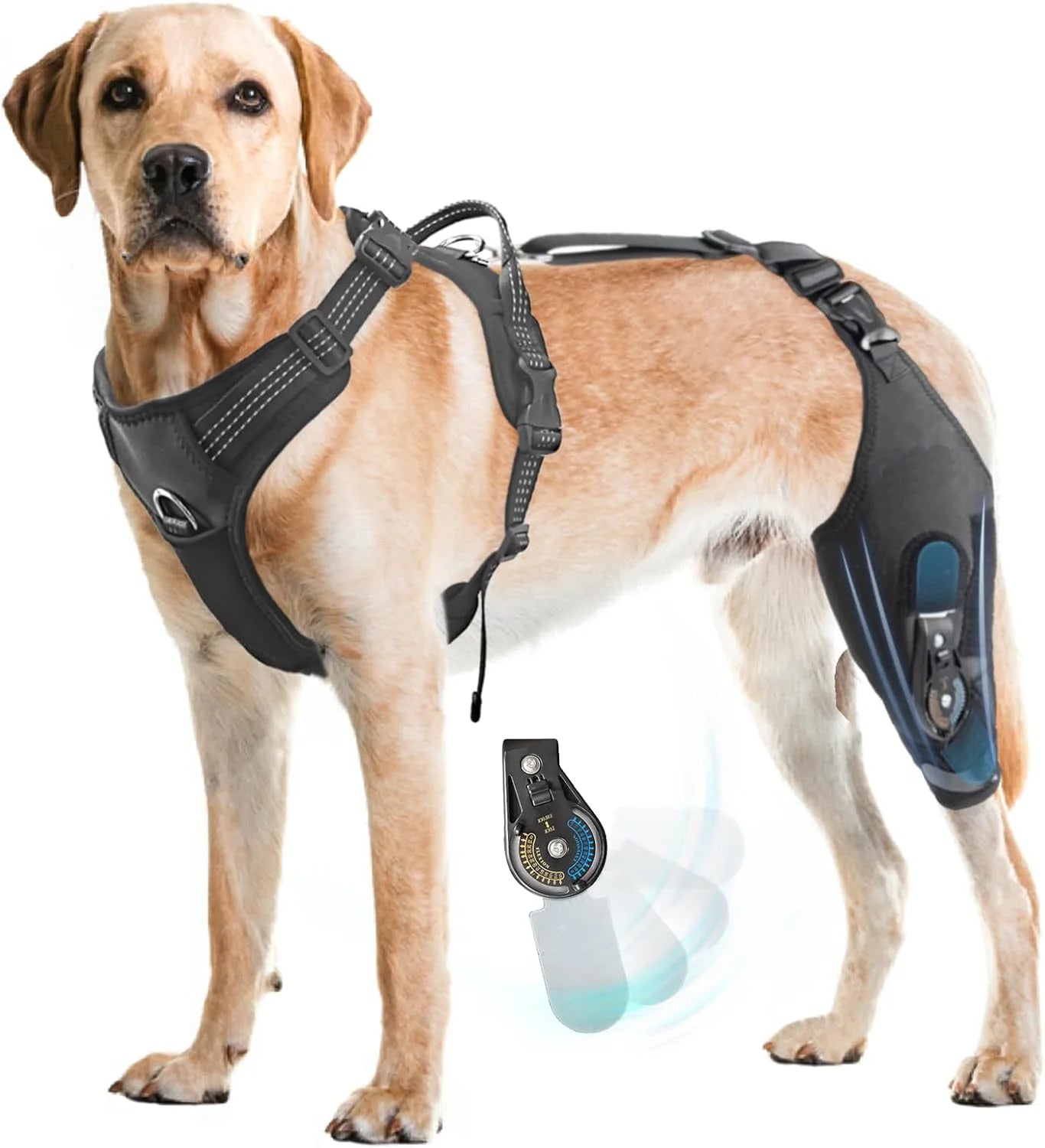 Dog Hind Leg Brace Support, with Adjustable Hinge Stabilizer
