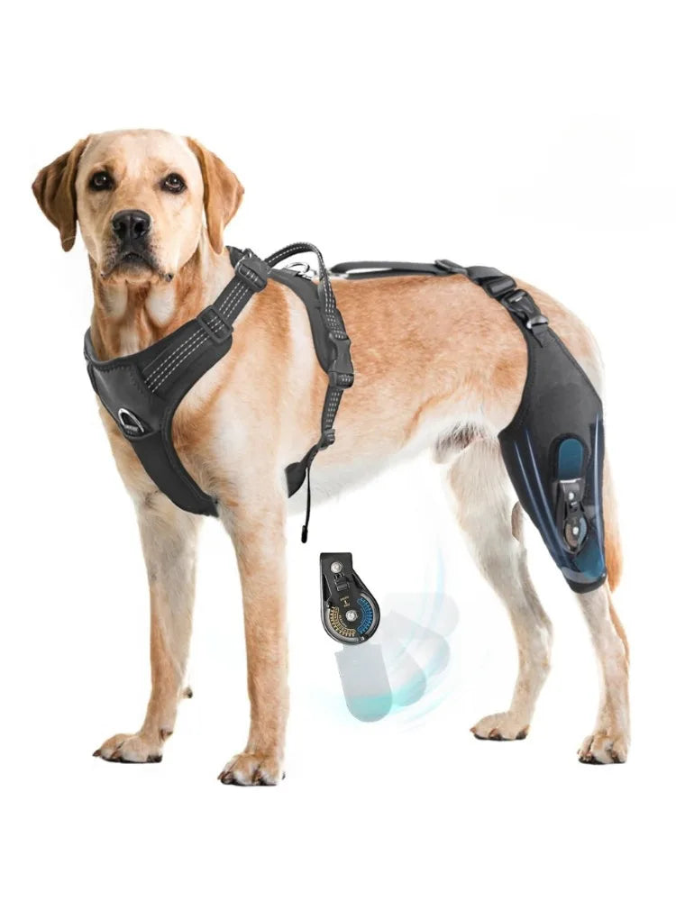 Dog Hind Leg Brace Support, with Adjustable Hinge Stabilizer