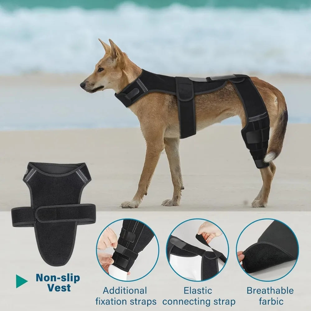 Dog ACL Knee Brace Support for Joint Pain