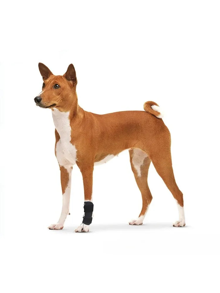 Knuckling Brace for Dogs,Comfortable Foot Paw Brace