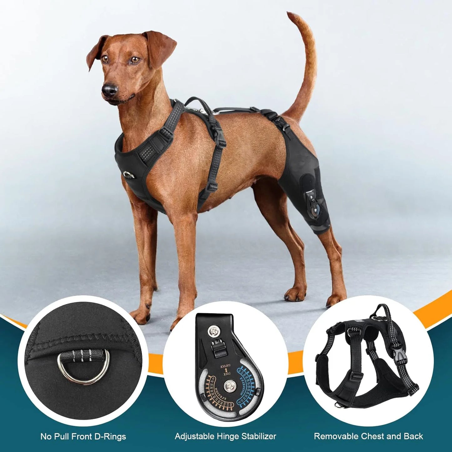 Dog Hind Leg Brace Support, with Adjustable Hinge Stabilizer