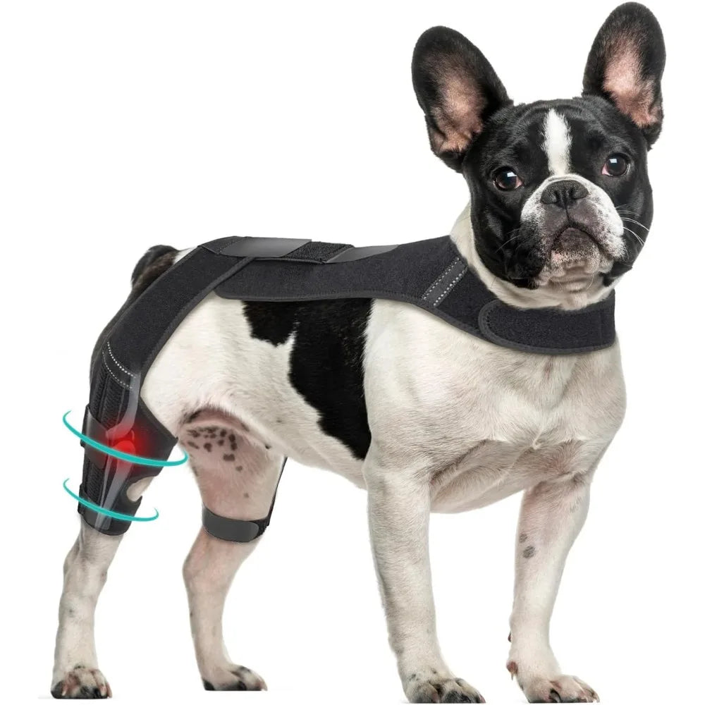 Dog ACL Knee Brace Support for Joint Pain